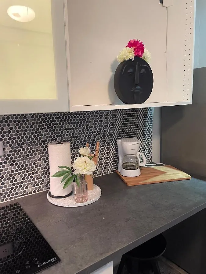 Rosalina Urbano Aparthotel San Juan Puerto Rico